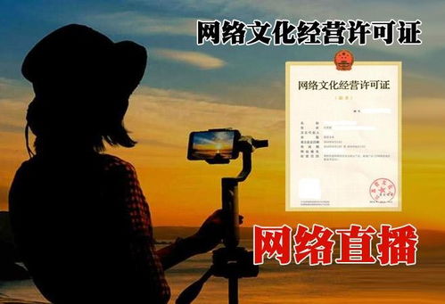 北京順義區(qū)網(wǎng)絡(luò)文化經(jīng)營許可證代辦費用詳解與急速辦理指南